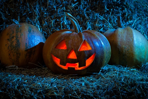 5 Halloween Events in New Jersey